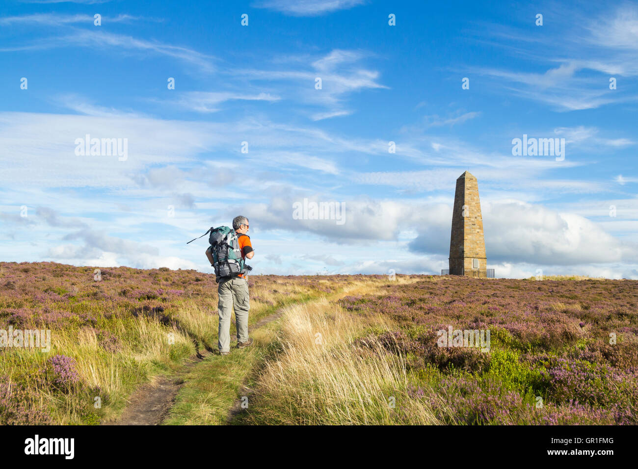 Hiker on the Cleveland Way near Captain Cook`s monument on Easby Moor, North York Moors National Park, England, UK Stock Photo